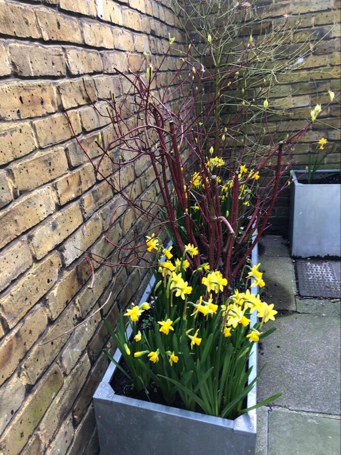 Photo from debmitchener(14)